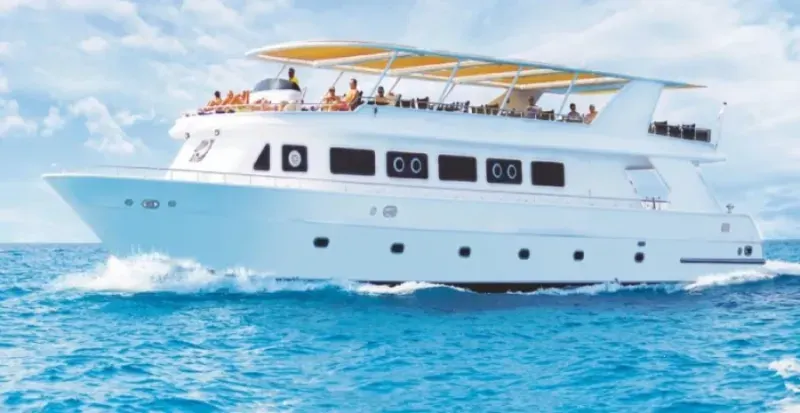 Vacaciones En Navidad y Año Nuevo